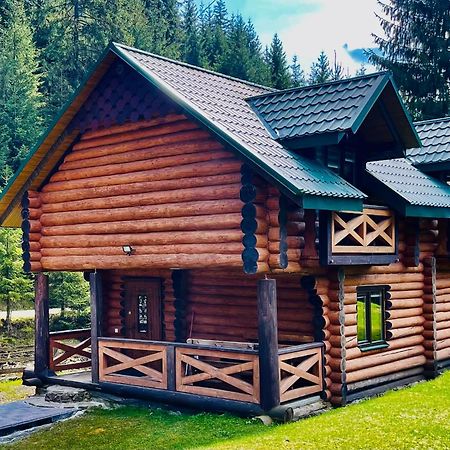 У Віти Котедж4 Synevyrsʼka Polyana Εξωτερικό φωτογραφία