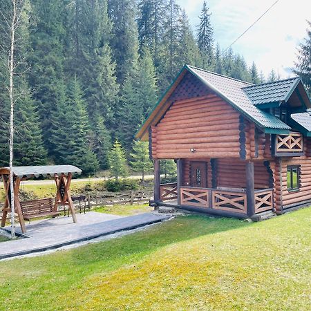 У Віти Котедж4 Synevyrsʼka Polyana Εξωτερικό φωτογραφία